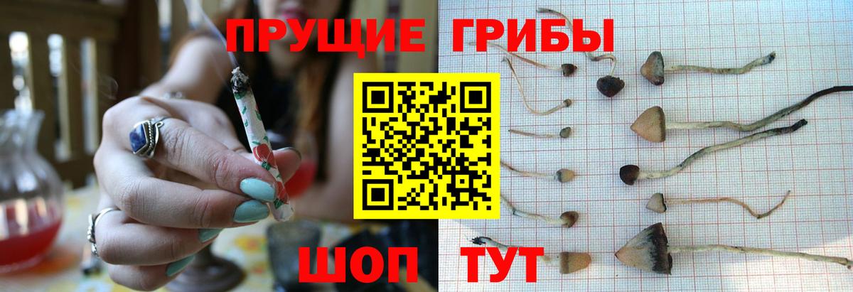 Псилоцибиновые грибы Magic Shrooms  наркотики  Вход с VPN  Чистополь  Галлюциногенные грибы Cubensis 